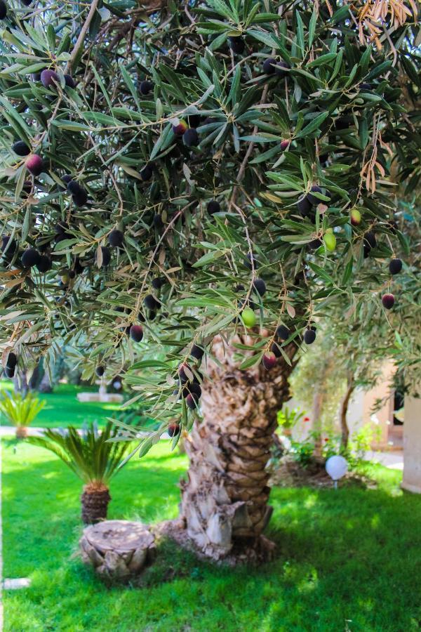 Riad Le Jasmin Taroudant Exteriör bild