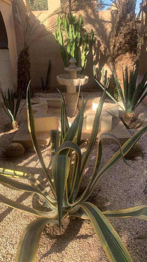 Riad Le Jasmin Taroudant Exteriör bild