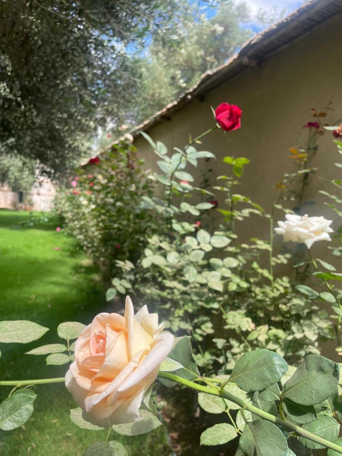 Riad Le Jasmin Taroudant Exteriör bild