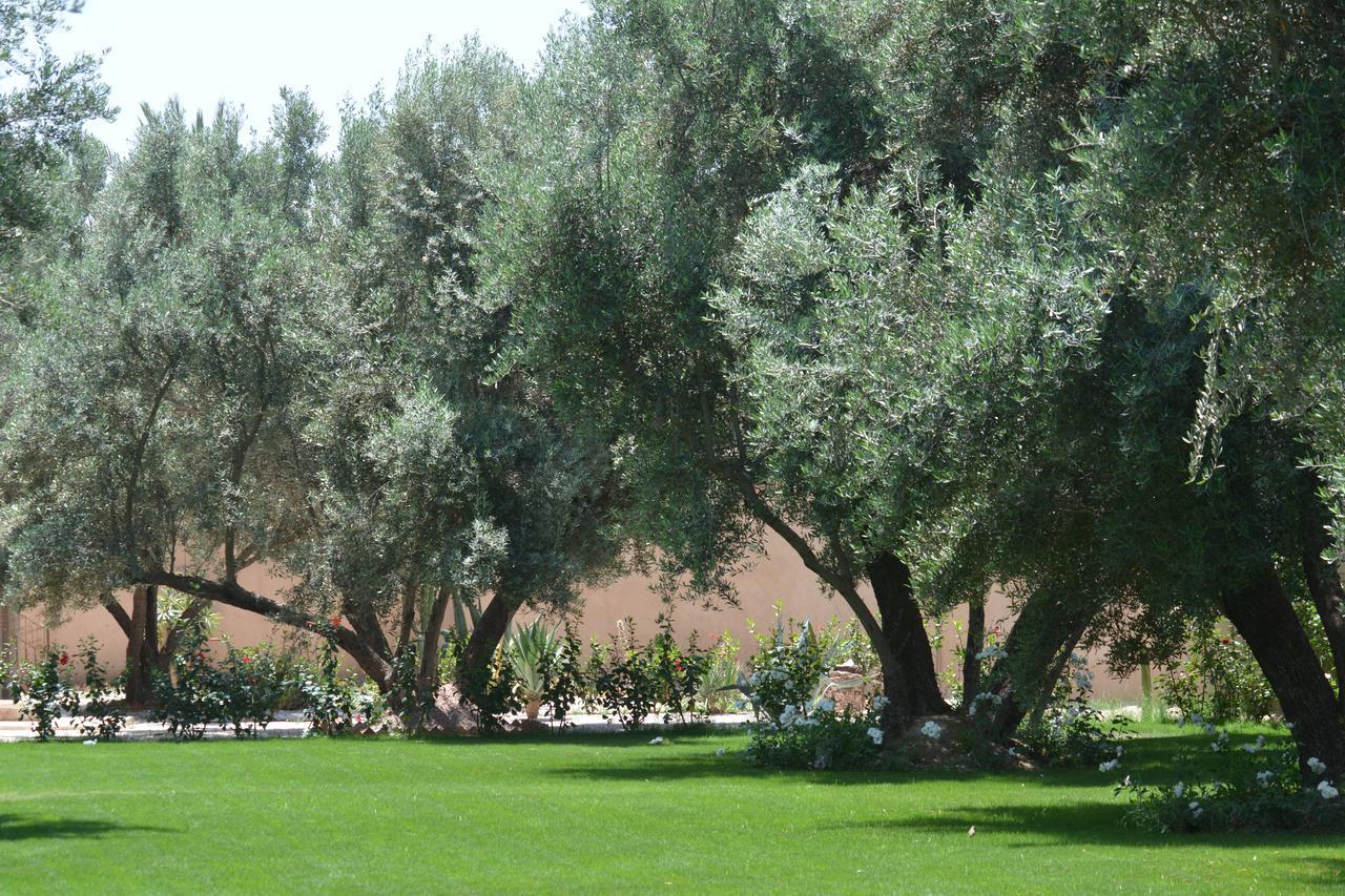 Riad Le Jasmin Taroudant Exteriör bild